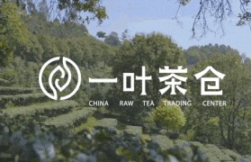 一叶茶仓——中国原料茶交易平台