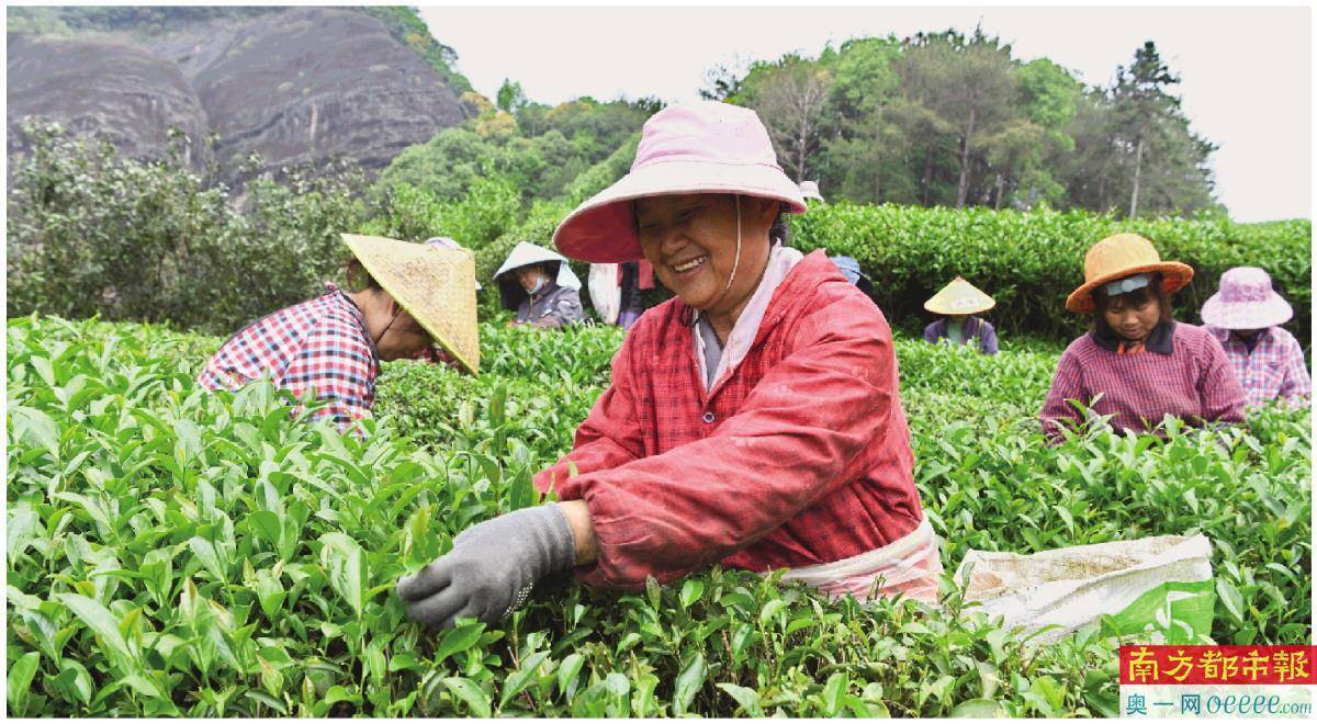 传统市场“卖茶叶”农业碳汇交易平台还可“卖空气”