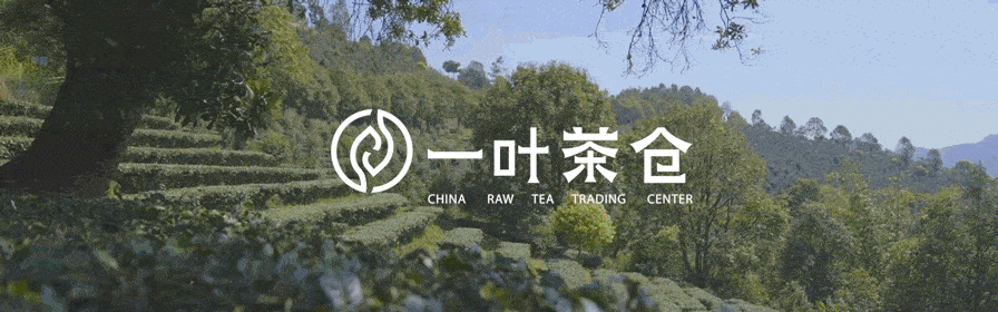 一叶茶仓——中国原料茶交易平台