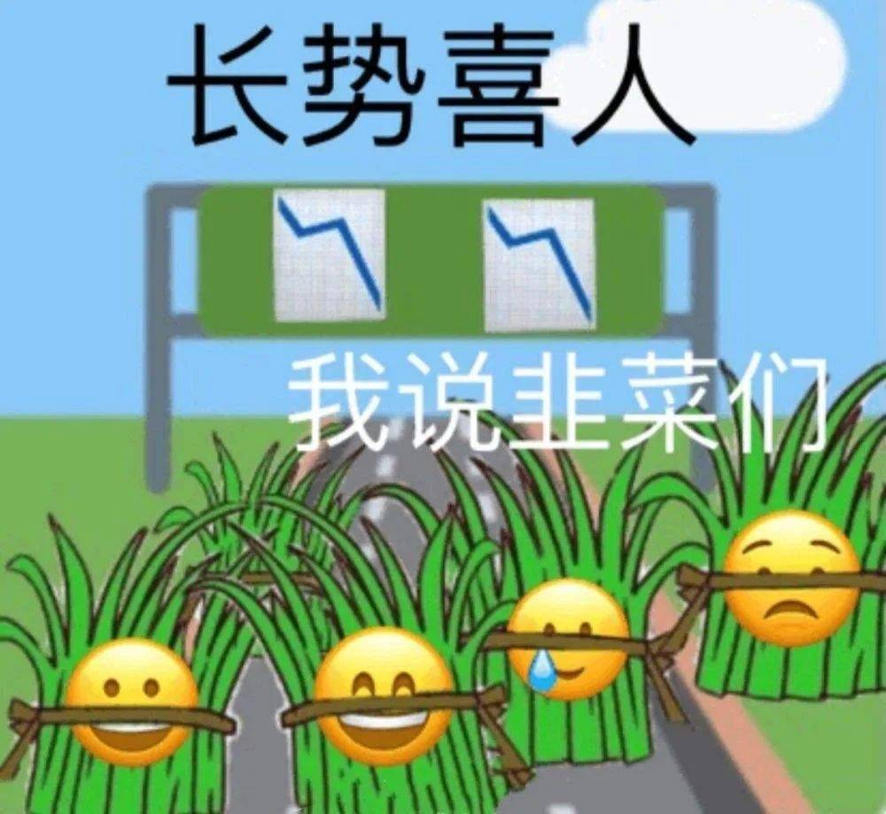二舅火了<strong></p>
<p>火特币</strong>，但“二舅币”崩了