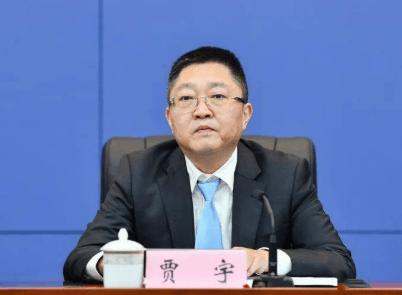 厅官贾宇<strong></p>
<p>tube币</strong>，官宣落马