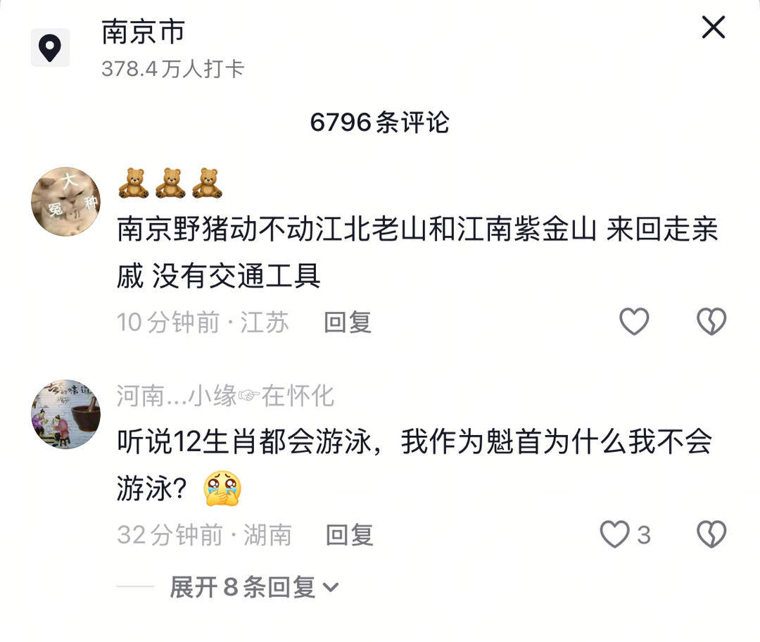南京六头野猪组队渡长江<strong></p>
<p>tube币</strong>，网友：天蓬元帅天上管水军的