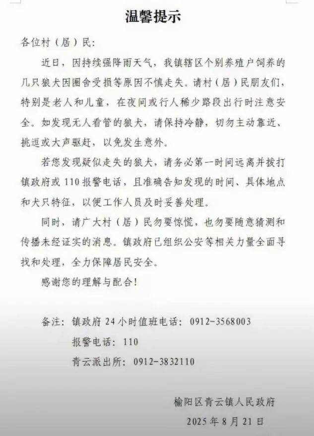 陕西一镇上有狼外逃？当地回应：是狼犬<strong></p>
<p>道币</strong>，已击毙21只，还有一两只在逃