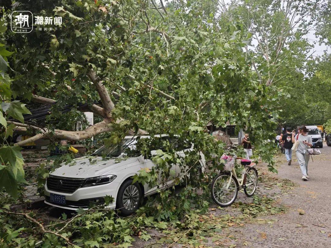 今天更猛：浙江午后局地暴雨、11级雷暴大风、小冰雹<strong></p>
<p>道币</strong>！台风“蓝湖”或将生成