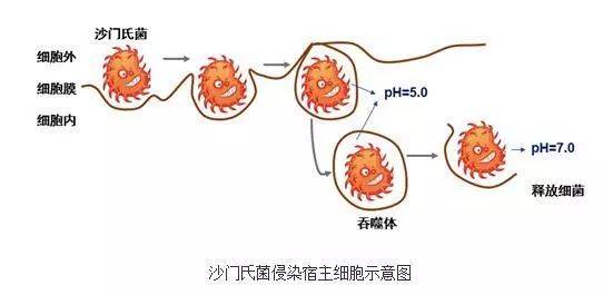 官方通报：一幼儿园发生中毒事件<strong></p>
<p>道币</strong>，发病130例