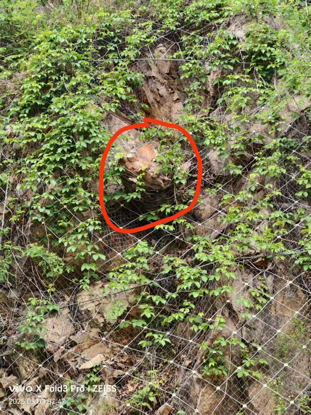 河南山体落石致36岁男子死亡案将一审开庭<strong></p>
<p>vgs币价格</strong>，家属起诉多部门索赔146万余元