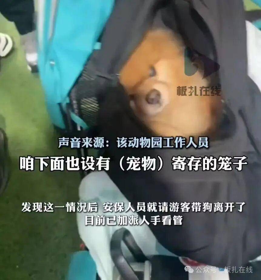 游客带宠物狗进熊猫馆？园方：放包里偷带进去的<strong></p>
<p>vgs币价格</strong>，已加强管理