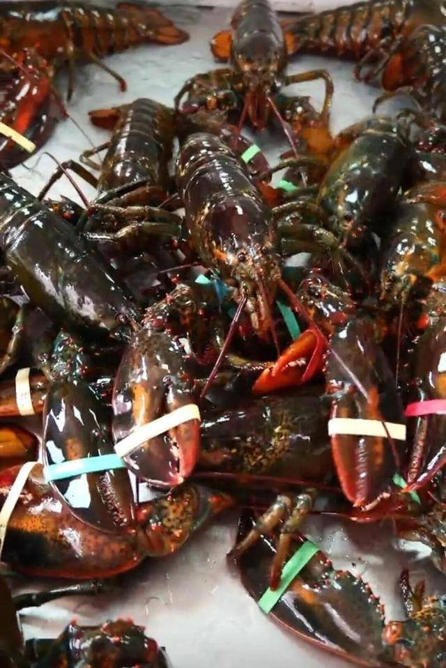 一天20元餐费能吃到龙虾、鲍鱼、海参……河南一幼儿园餐食走红<strong></p>
<p>佛币</strong>，网友称堪比星级酒店