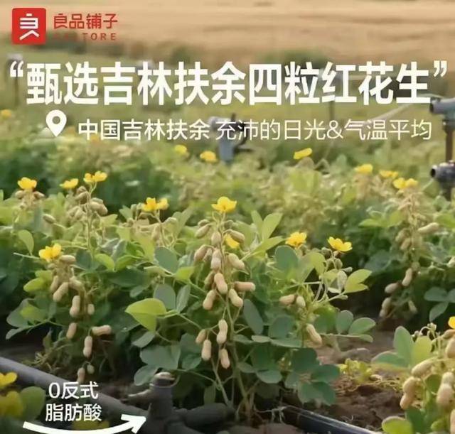 “花生上树”闹剧：AI翻车背后<strong></p>
<p>一快币</strong>，我们都在弄丢常识？