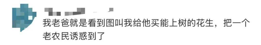 “花生上树”闹剧：AI翻车背后<strong></p>
<p>一快币</strong>，我们都在弄丢常识？