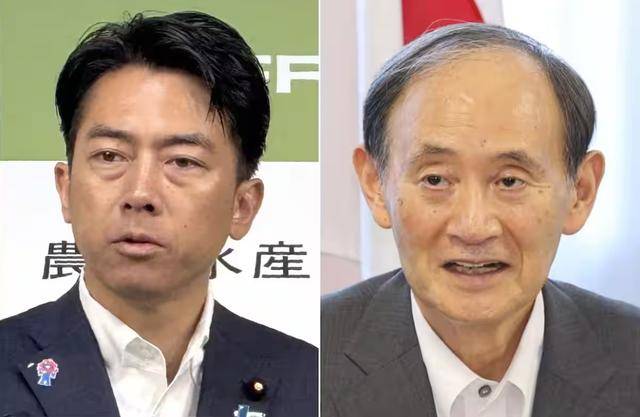 黑锅背完石破茂被赶下台<strong></p>
<p>桃子币</strong>，下届日本首相人选，有个“反华”魔怔人