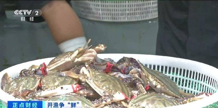 大连“开海”首个周末<strong></p>
<p>trio币</strong>，海鲜价格走势如何？记者探访→