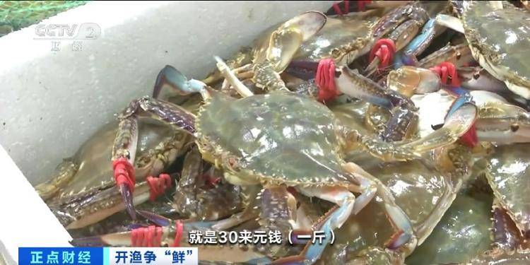 大连“开海”首个周末<strong></p>
<p>trio币</strong>，海鲜价格走势如何？记者探访→