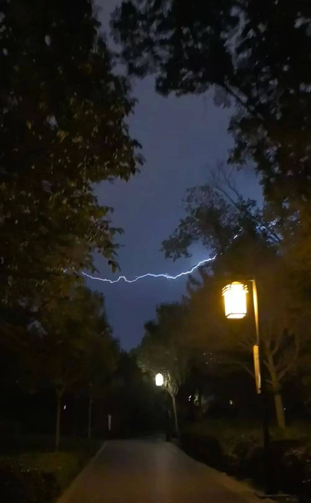知名女主持人自曝：我雷暴哮喘了！太原这家医院急诊数小时内曾接诊400多人<strong></p>
<p>币莱特行情</strong>，近期高发